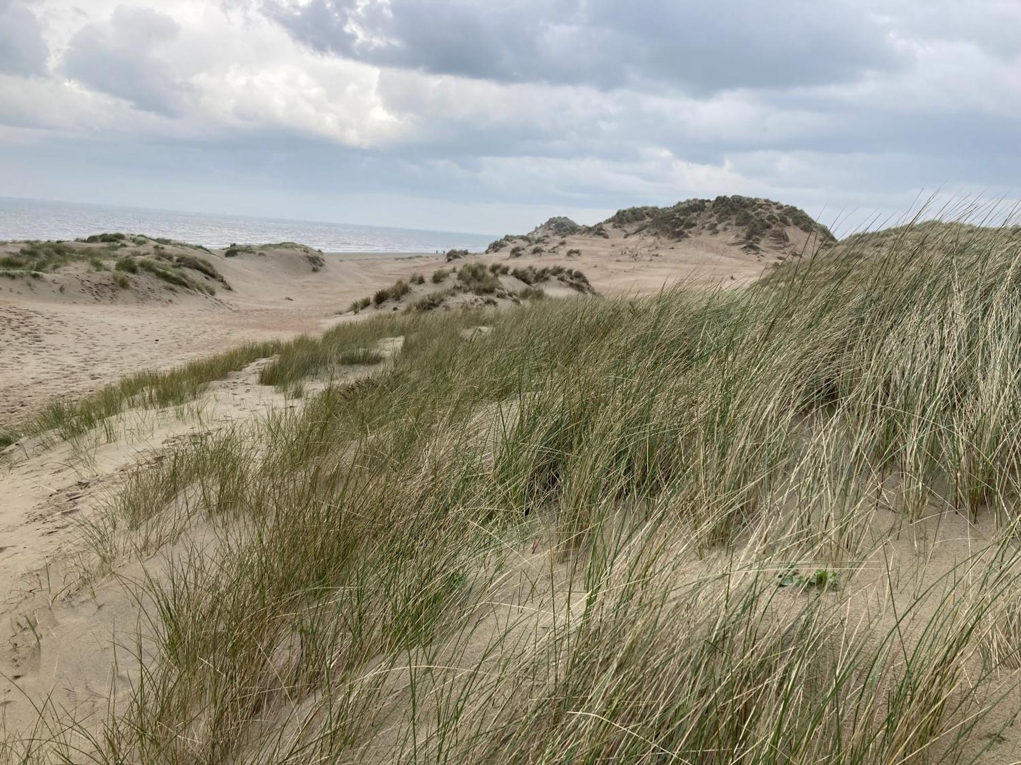 Terduinen Villa Oostduinkerke Eksteriør billede